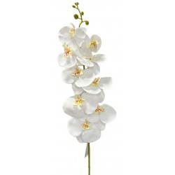 Κλαδί πλαστικό ορχιδέα λευκό 80cm 25122 ΚΩΔ.11647