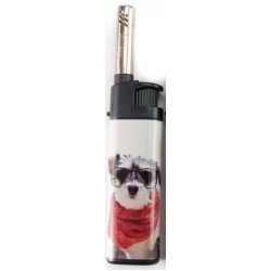 Αναπτήρας με μικρό λαιμό 12cm πολύχρωμο 2336 ΚΩΔ.14391