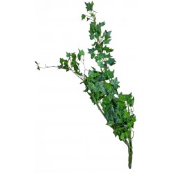 Κρεμαστός κισσός πλαστικό πράσινο 80cm 22174 ΚΩΔ.14334