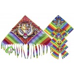 Αετός polyester με Σχέδιο και σπάγγο 140x60cm πολύχρωμο 3-688